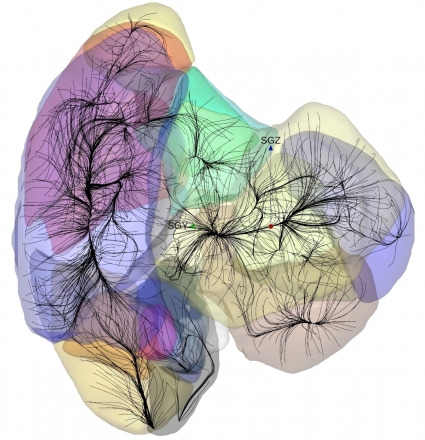 Research Sheds Light on Large-Scale Cosmic Structures